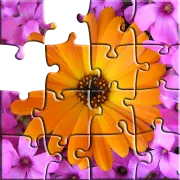 Fotopuzzles